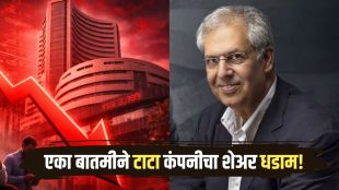 Tata Chemicals Share