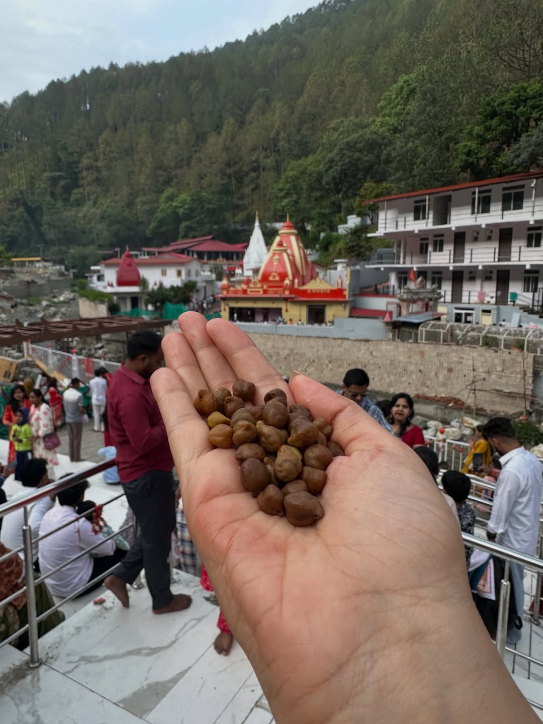 tejashri pradhan celebrates birthday in nainital reveals her age