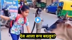 खरंच, देव आला रूप बदलून! तहानलेली गाय पाण्यासाठी तडफडत होती; लोक फक्त बघत होते; पुढच्या काही सेकंदांत घडलं असं काही की…VIDEO व्हायरल