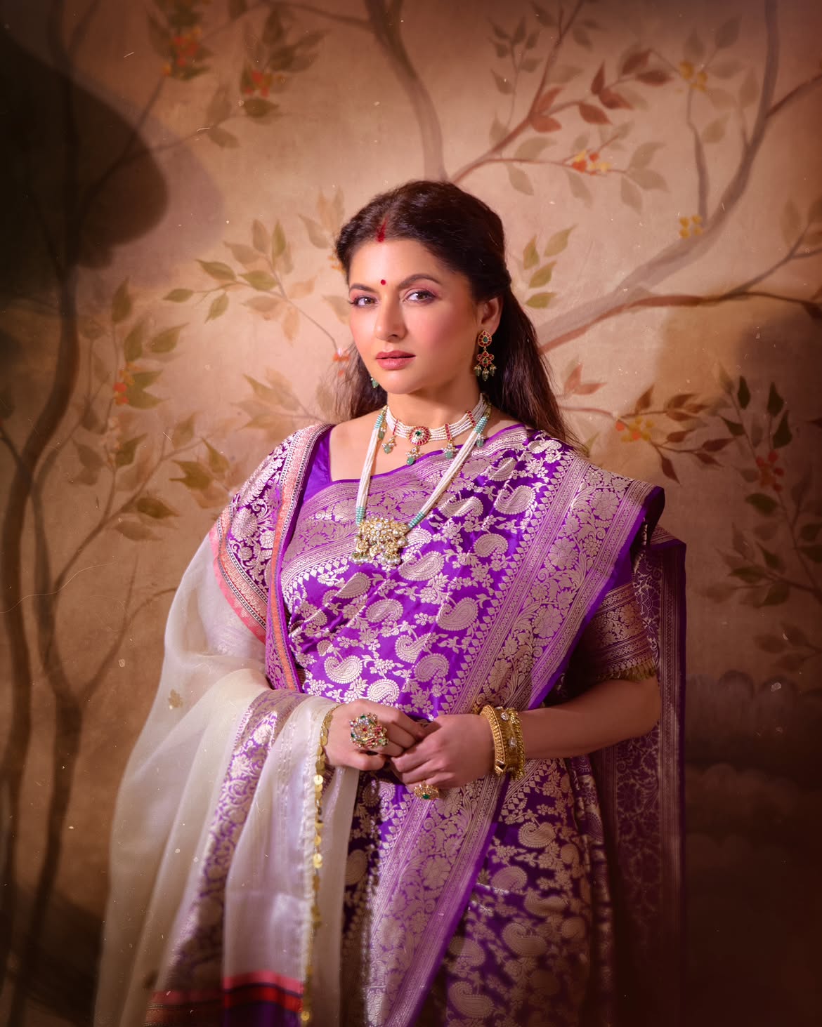 bhagyashree beautiful royal look in saree