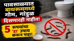 पावसाळ्यात बाथरूममध्ये गांडुळे-गोम दिसतायत? फक्त ५ रुपयांचा ‘हा’ घरगुती उपाय करा; पुन्हा फिरकणारही नाहीत!