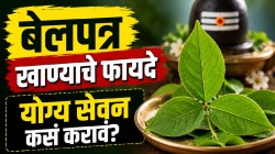 श्रावणात शिवाला अर्पण केलं जाणारं बेलपत्र खाण्याचे ५ जबरदस्त फायदे; पण आधी ते कसं खावं, हे जाणून घ्या…