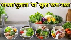 पावसाळ्यात भाज्या धुण्याची सोपी पद्धत! ‘या’ ४ गोष्टी फॉलो केलात तर लहान किडे जातील निघून, भाजीही राहील फ्रेश