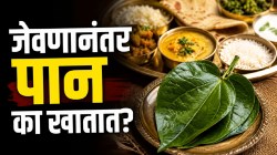 जेवणानंतर तुम्ही पान खाल्ले तर शरीरावर काय परिणाम होतो? जाणून घ्या आयुर्वेदानुसार होणारे फायदे आणि महत्त्वाची खबरदारी