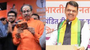 What Devendra Fadnavis Said?