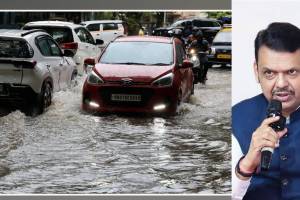 what cm devendra fadnavis said About Work From Home