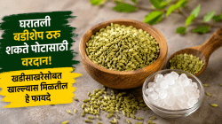 बडीशेपबरोबर खडीसाखर खाल्यास बद्धकोष्टता आणि अपचनापासून मिळेल आराम; डॉक्टरांकडून जाणून घ्या योग्य पद्धत