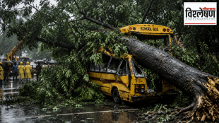 A large tree falls on a school bus during heavy monsoon rains in Mumbai, highlighting the dangers of poor tree maintenance and urban concretisation.