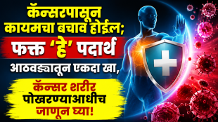Cancer health include these 5 anti cancer foods in your diet to help reduce the risk of cancer in the future google trends