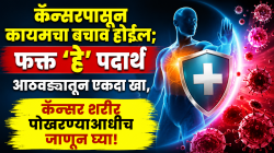 कॅन्सरपासून कायमचा बचाव होईल; फक्त ‘हे’ पदार्थ आठवड्यातून एकदा खा, कॅन्सर शरीर पोखरण्याआधीच जाणून घ्या