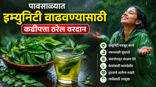How curry leaves improve health in monsoon