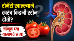 टोमॅटो खाल्ल्याने खरंच किडनी स्टोन होतो? जाणून घ्या यामागचे सत्य!