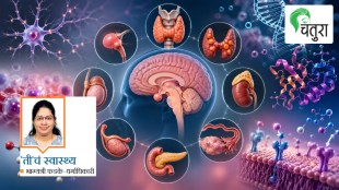 Human Growth Hormone Functions | Pituitary Gland Disorders Symptoms | Hypothalamus Endocrine System Regulation | Acromegaly and Gigantism Medical Treatment