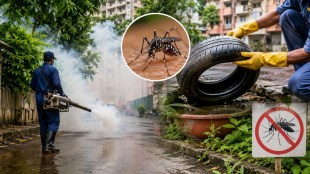 thane municipal corporation monsoon health drive | dengue and malaria control survey in thane | tmc health department fogging spraying initiative | monsoon disease preventive measures thane city