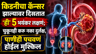 what are early signs of kidney cancer symptoms 7 when to see a doctor