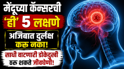 Brain Cancer: मेंदूच्या कॅन्सरची ‘ही’ ५ लक्षणे अजिबात दुर्लक्ष करू नका; साधी वाटणारी डोकेदुखी ठरू शकते जीवघेणी