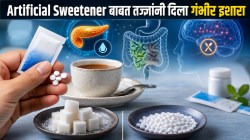 Artificial Sweeteners आरोग्यासाठी धोकादायक? डाएट किंवा कॅलरीमुक्त आहारात वापरत असाल, तर वेळीच सावध व्हा…