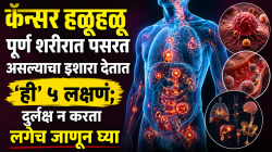 कॅन्सर हळूहळू पूर्ण शरीरात पसरत असल्याचा इशारा देतात ‘ही’ ५ लक्षणं; दुर्लक्ष न करता लगेच जाणून घ्या