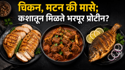 चिकन, मटन की मासे; वजन नियंत्रणात ठेवण्यासाठी आणि भरपूर प्रथिनांसाठी तुम्ही काय खाल्लं पाहिजे?