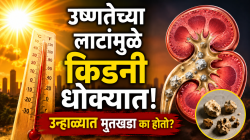 उन्हाळ्यात तहान लागली नसली तरी पाणी का प्यावे? किडनी निकामी होण्यापूर्वी शरीराचा ‘हा’ इशारा वेळीच ओळखा!