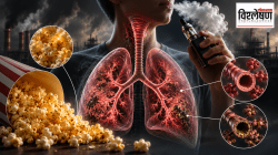 What Is Popcorn Lung: पॉपकॉर्न खाल्ल्याने खरंच फुप्फुसं निकामी होतात का? विज्ञान काय सांगत?