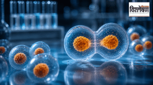 Synthetic cells scientific research project | Dr Kate Adamala SpudCell experiment | University of Minnesota synthetic biology | Artificial cell division process science update