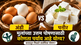 eggs for children, eggs vs paneer