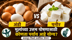 अंडी की पनीर: मुलांच्या उत्तम पोषणासाठी कोणता पर्याय आहे योग्य? कशातून मिळते सर्वाधिक पोषण?