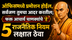 ऑफिसमध्ये प्रमोशन होईल, सर्वजण तुमचा आदर करतील; फक्त आचार्य चाणक्यांचे ‘हे’ ५ राजनैतिक नियम लक्षात ठेवा