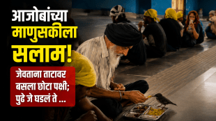 A unique confluence of humanity video of a grandfather sharing food with a bird is going viral on social media