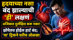 हृदयाच्या नसा बंद झाल्याची ‘ही’ लक्षणं अजिबात दुर्लक्षित करु नका; झोपेतच होईल हार्ट बंद, ‘या’ ट्रिकने घरीच ओळखा हार्ट ब्लॉकेज