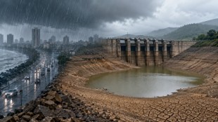 maharashtra dam water levels | heavy rain in maharashtra catchment areas | water crisis in maharashtra dams | Koyna Ujani dam water stock update