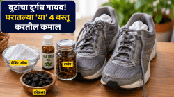 पायातून बूट काढताच लोक नाक मुरडतात? ‘या’ ४ गोष्टींमुळे १ मिनिटात सुटेल तुमची समस्या!