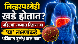 लिव्हरमध्येही खडे होतात? पहिल्या टप्प्यात दिसणाऱ्या ‘या’ लक्षणांकडे अजिबात दुर्लक्ष करु नका, जीवावर बेतण्याआधी जाणून घ्या