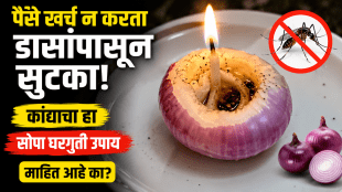 Mosquitoes swarming in the monsoon Quit coil spray this onion hack will keep mosquitoes away