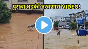 China Flood Snakes Video