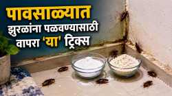 पावसाळ्यात भिंतींच्या फटी, कोपऱ्यात लपलेली झुरळे होतील गायब; वापरा फक्त पीठ – बोरिक पावडरची ‘ही’ ट्रिक