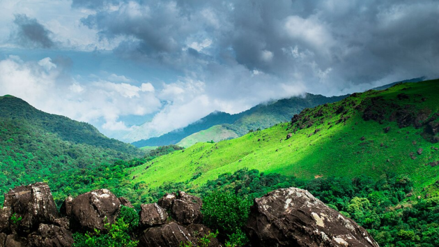 best firefly watching spots in India
