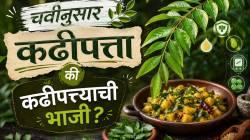 Curry Leaves Benefits: ताटात बाजूला काढलेला कढीपत्ता खरोखरच कॅन्सर आणि मधुमेहावर गुणकारी आहे का? विज्ञान काय सांगतं?