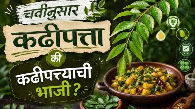 ताटात बाजूला काढलेला कढीपत्ता खरोखरच कॅन्सर आणि मधुमेहावर गुणकारी आहे का?