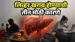 फक्त मद्यपानामुळे नाही, तुमच्या ‘या’ ३ गोष्टींमुळेही लिव्हर होतं खराब! वेळीच व्हा सावध; डॉक्टरांनी दिली माहिती