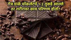रोज डार्क चॉकलेटचे १-२ तुकडे खाल्ले तर शरीरावर काय परिणाम होतो? जाणून घ्या