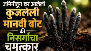 Dead Mans Fingers Fungus