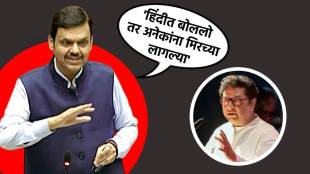 Devendra Fadnavis On Raj Thackeray Mimicry