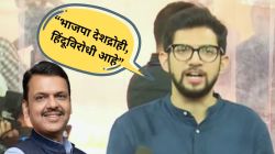 “देवेंद्र फडणवीसांना जोरजबरदस्तीने दिल्लीत खेचंल जाईल, भाजपा त्यांना महाराष्ट्रात ठेवत नाही”; आदित्य ठाकरेंचा पुनरुच्चार