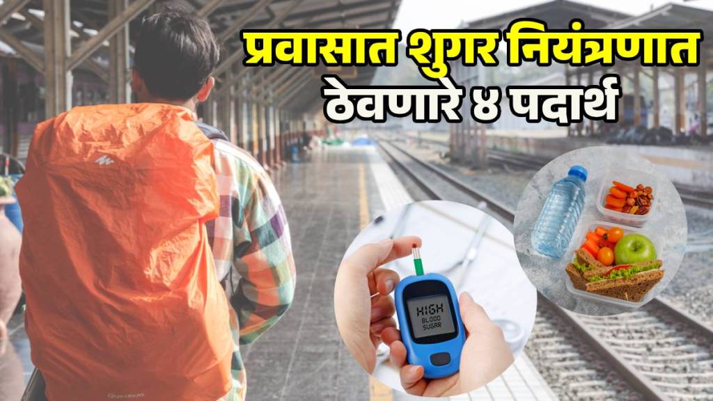 Diabetic Friendly Indian Train Food Guide Diabetic Friendly Indian Train Food Guide