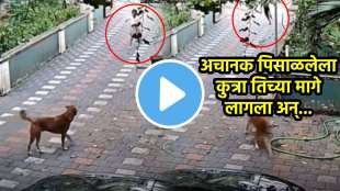 Dog Attack Viral Video