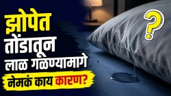 झोपेत तुमच्याही तोंडातून लाळ गळते? जाणून घ्या यामागची कारणं; ‘हे’ सोपे घरगुती उपाय देतील आराम