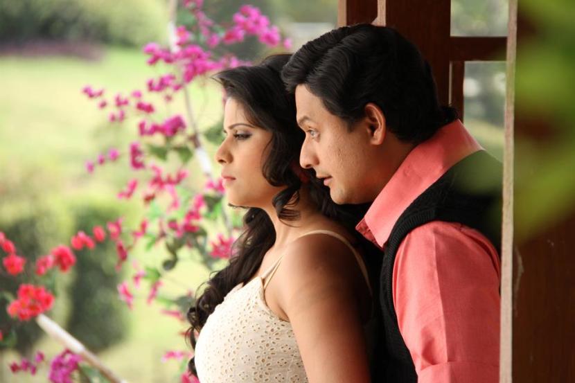 Saie Tamhankar Movie Journey