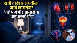 Causes of Nocturia : रात्री वारंवार लघवीला जावं लागतंय? ‘या’ ५ गंभीर आजारांचा असू शकतो धोका, वेळेतच सावध व्हा!